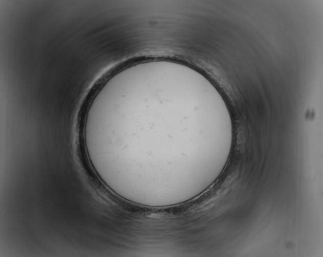 X0000103910584200809191121