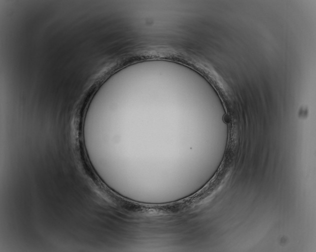 X0000103910585200809191121