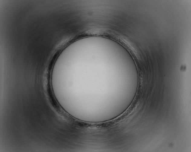 X0000103910586200809191121