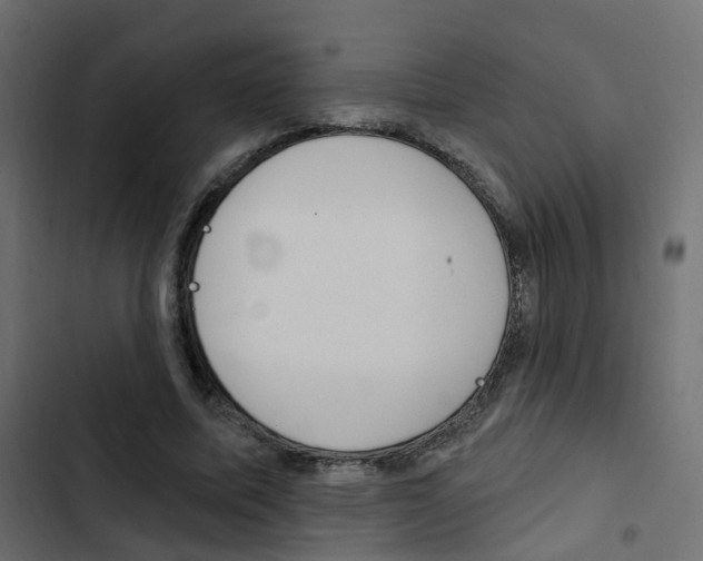 X0000103910587200809191121