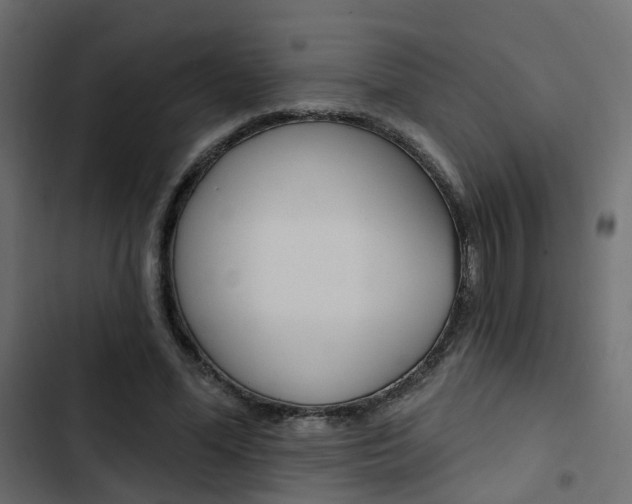 X0000103910588200809191121