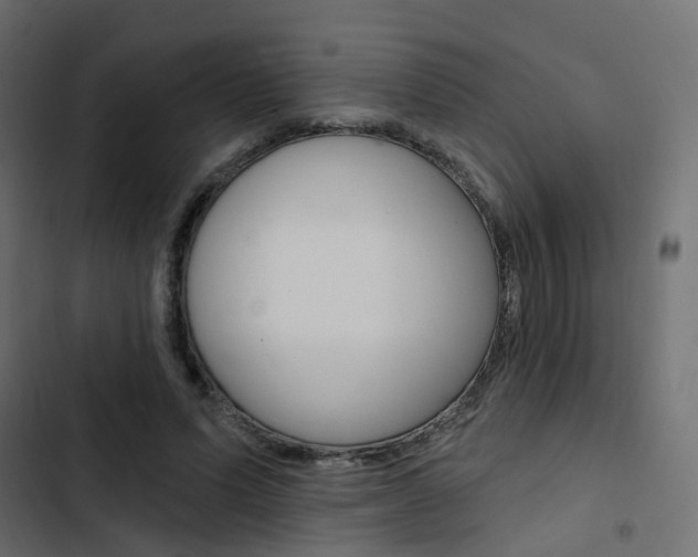 X0000103910591200809191121
