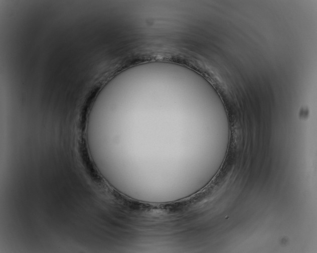 X0000103910594200809191121