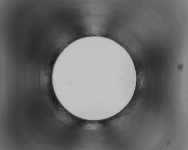 X0000103910595200809191121