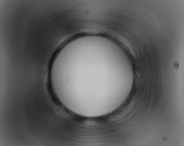 X0000103910596200809191121