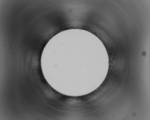X0000103910597200809191121