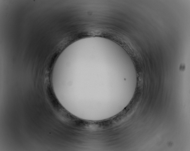 X0000103910598200809191121
