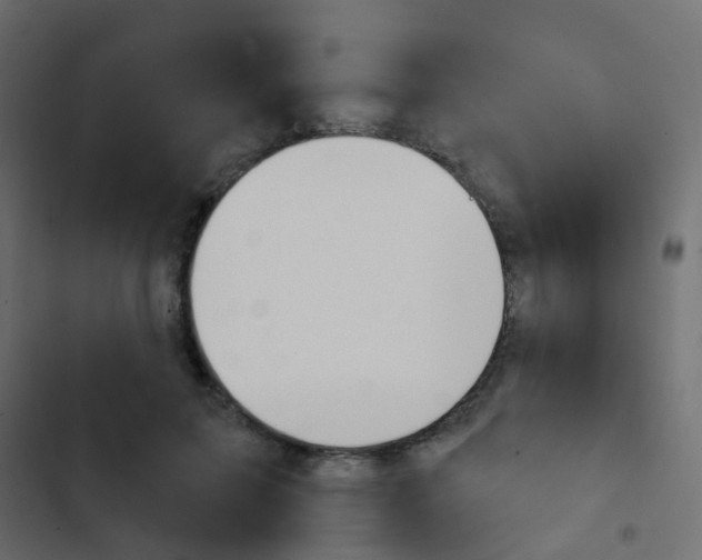 X0000103910599200809191121