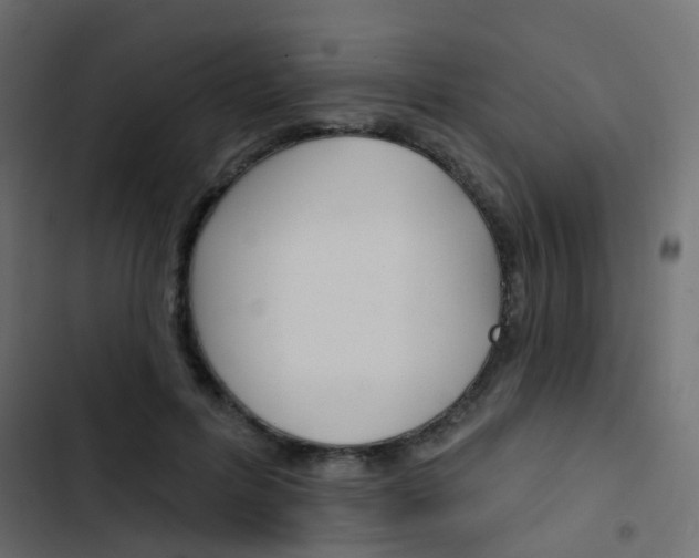 X0000103910600200809191121