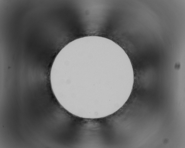 X0000103910601200809191121