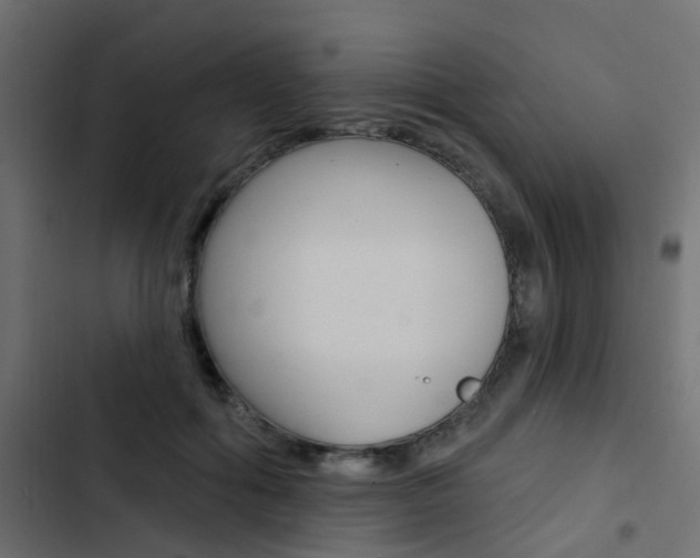 X0000103910602200809191121