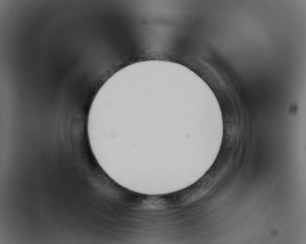 X0000103910603200809191121