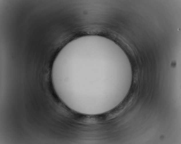 X0000103910604200809191121