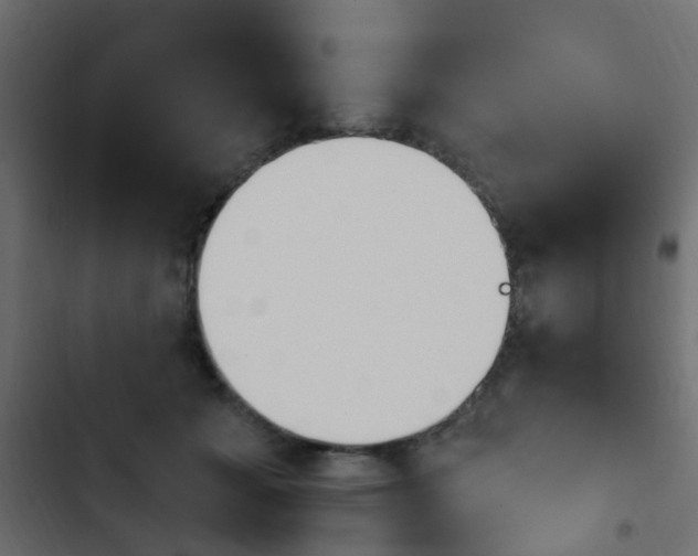 X0000103910605200809191121