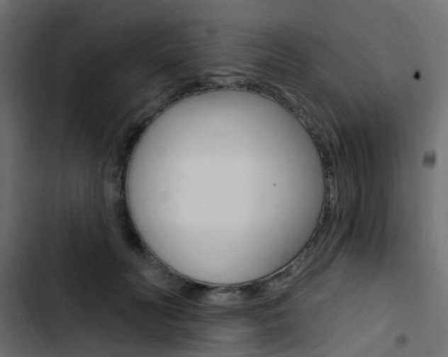 X0000103910606200809191121