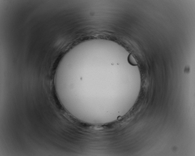 X0000103910607200809191121