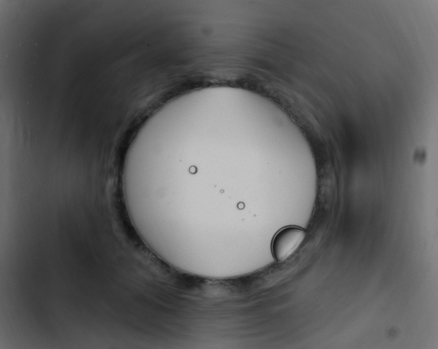 X0000103910608200809191121