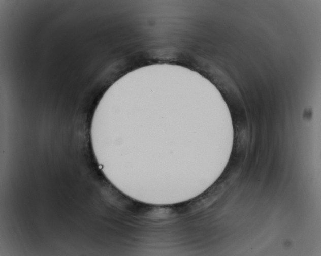 X0000103910609200809191121