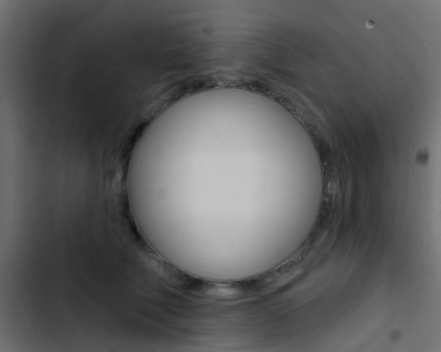 X0000103910610200809191121