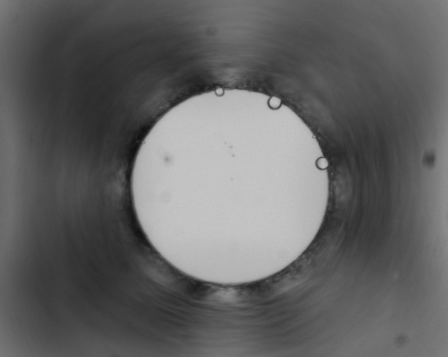 X0000103910611200809191121