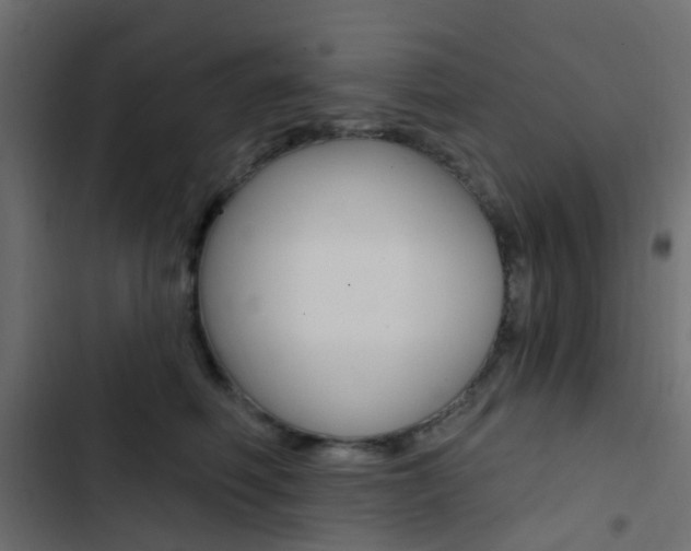 X0000103910614200809191121