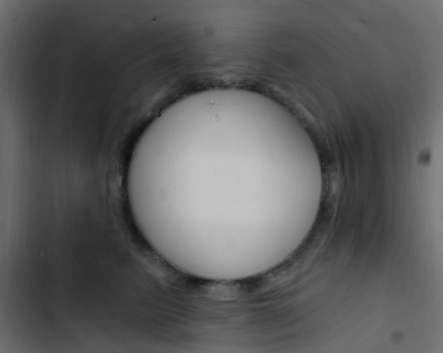X0000103910615200809191121