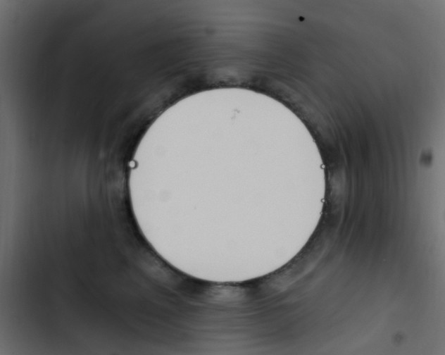 X0000103910617200809191121