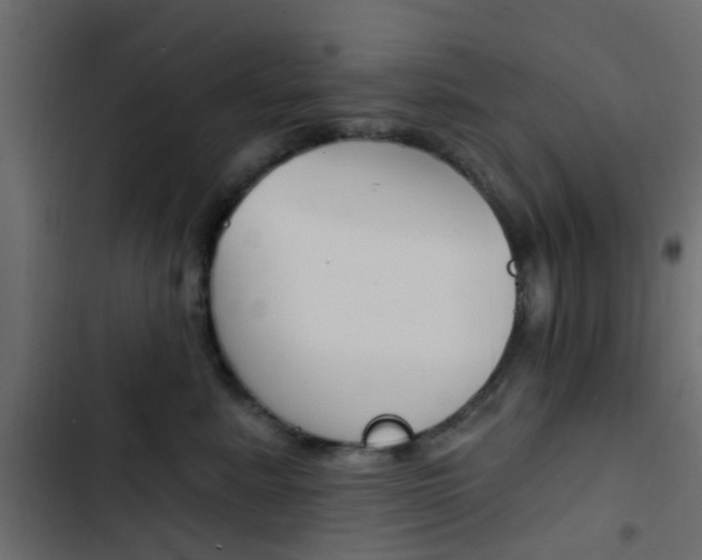 X0000103910619200809191121
