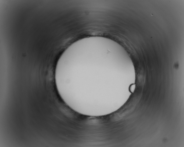 X0000103910620200809191121