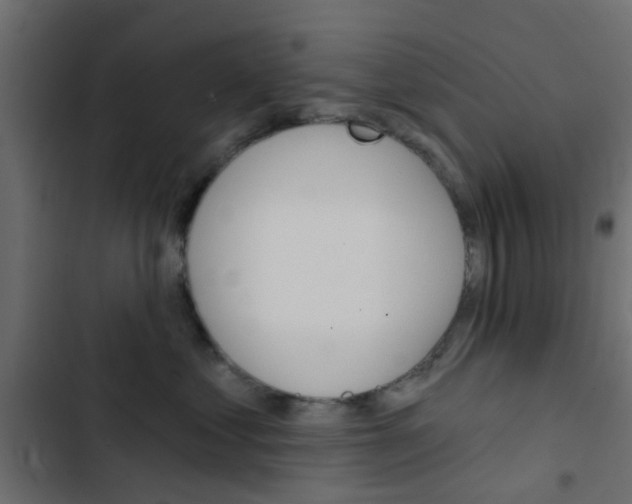 X0000103910621200809191121