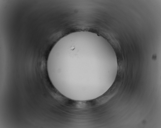 X0000103910623200809191121