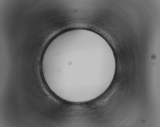 X0000103910625200809191120