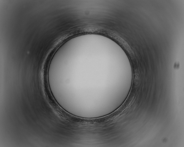 X0000103910626200809191120