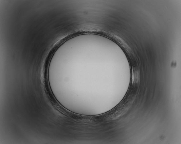 X0000103910627200809191120