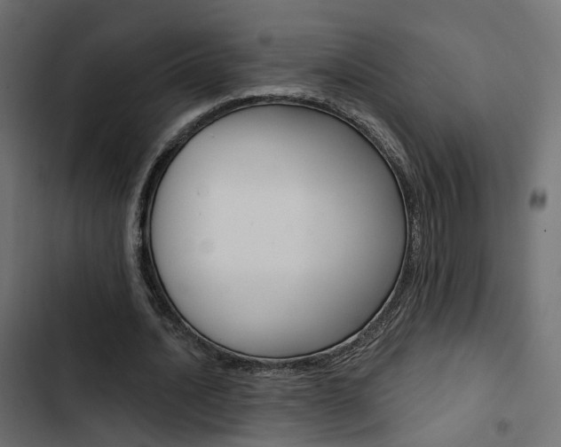 X0000103910628200809191120