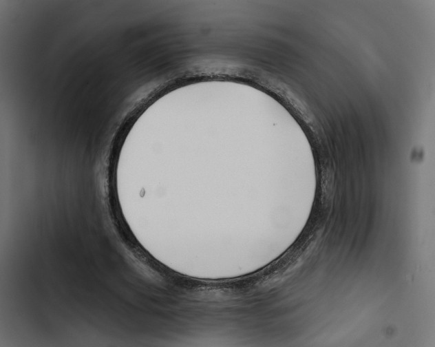 X0000103910629200809191120