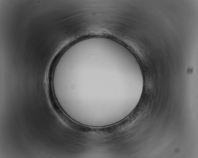 X0000103910630200809191120