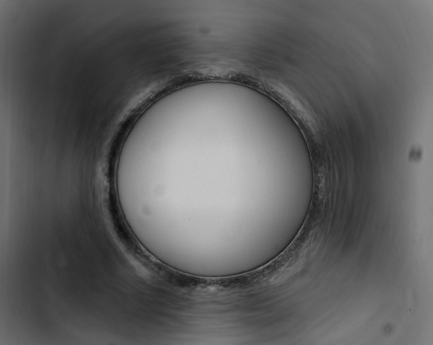 X0000103910634200809191120