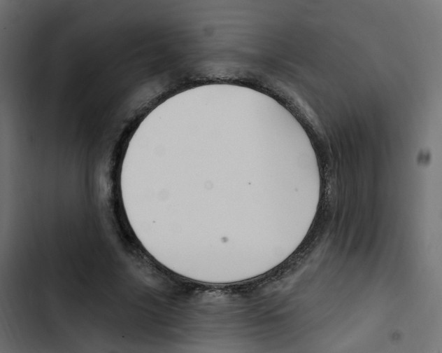 X0000103910635200809191120