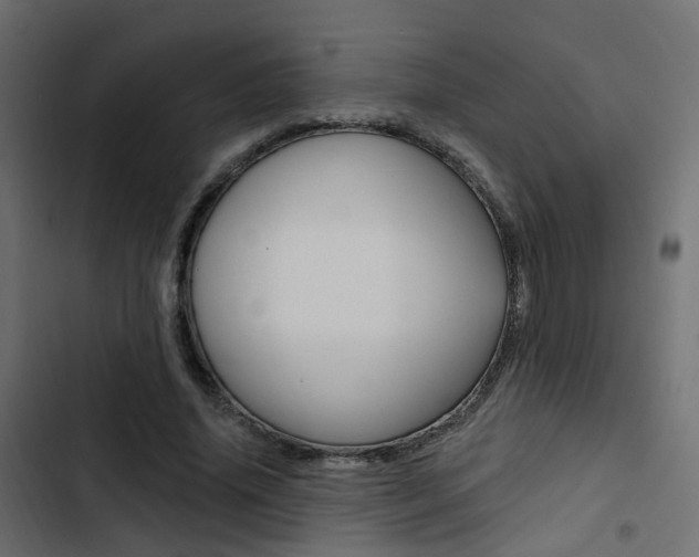 X0000103910636200809191120
