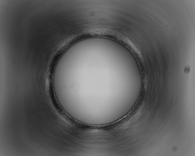 X0000103910637200809191120