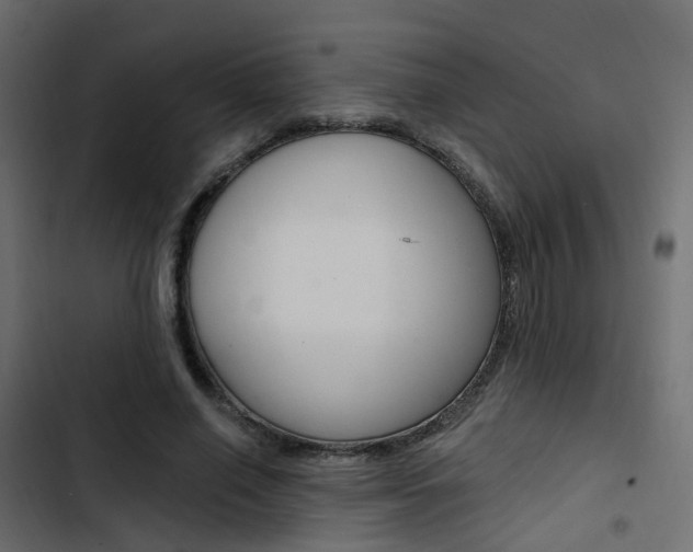 X0000103910638200809191120