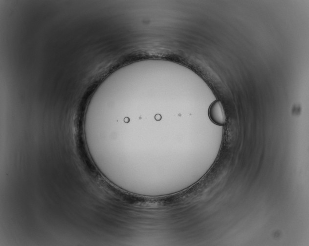 X0000103910639200809191120
