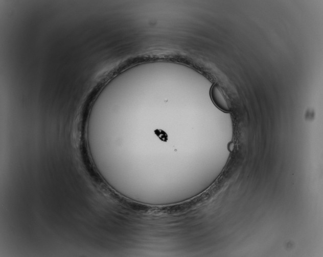 X0000103910640200809191120