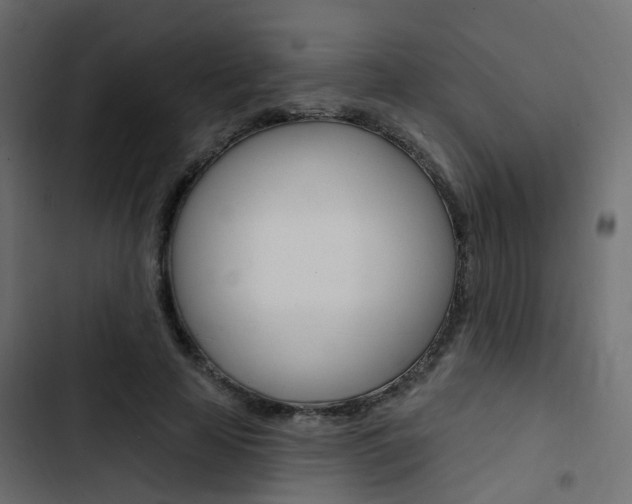 X0000103910641200809191120
