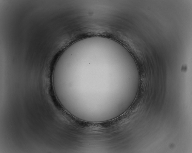 X0000103910642200809191120