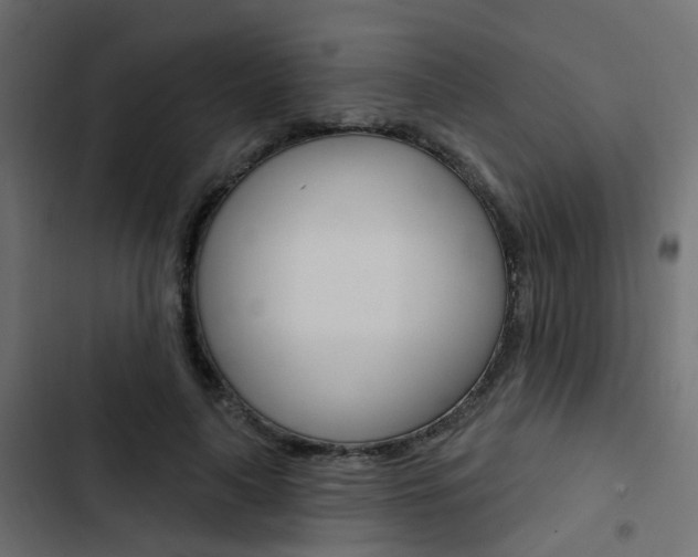 X0000103910643200809191120