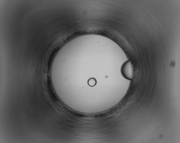 X0000103910644200809191120