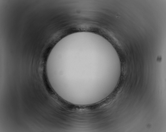 X0000103910645200809191120