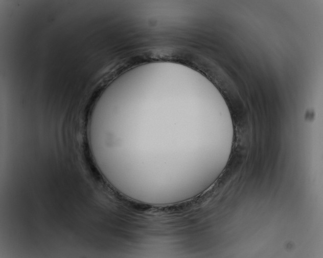 X0000103910648200809191120